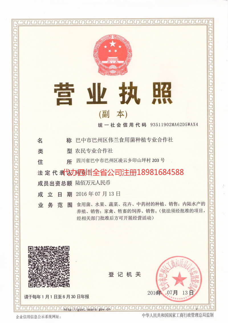 安达安达伟兰食用菌种植专业合作社